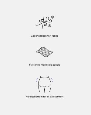 BlissWear Mesh Bikini